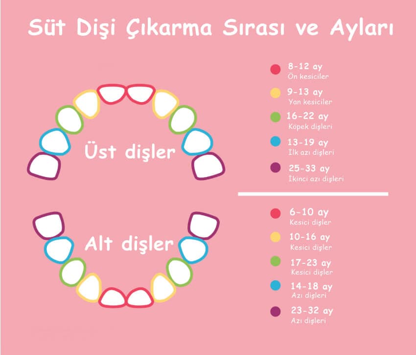 Süt Dişleri