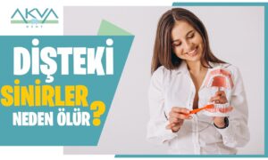 Dişteki Sinirler Neden Ölür?